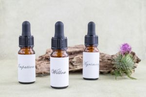 Floriterapia di Bach bach flower therapy